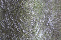 Aldbrough St John fibreglass roof work